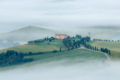 Tuscan Morning II (2018)
