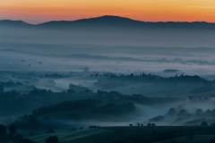 Tuscany Morning (2013)