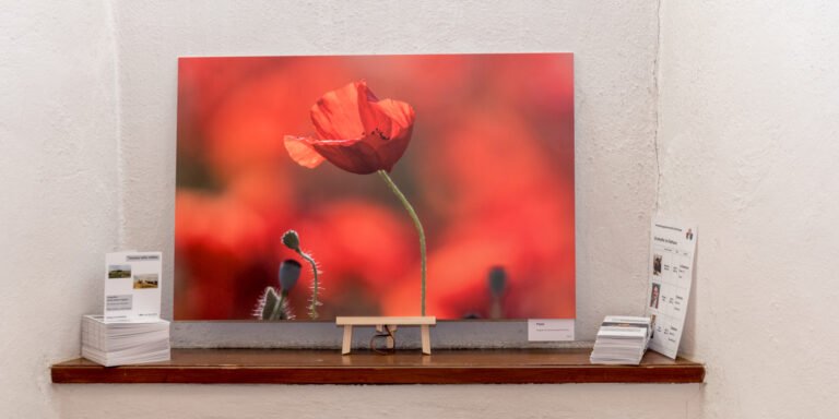 Toscana nella nebbia (Die Ausstellung im Allgäu)