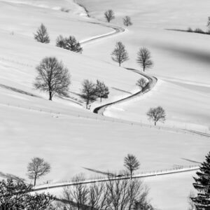 Roland Seichter Fotografie - Einzigartige Wandbilder - Fotografie einer Schneelandschaft mit einigen Bäumen. Eine Straße windet sich in doppelter S-Form durchs Bild. Schwarz/Weiß