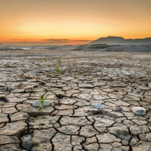 Roland Seichter Fotografie - Einzigartige Wandbilder - Landschaftsfotografie -Fotografie des ausgetrockneten Forggensees am Morgen