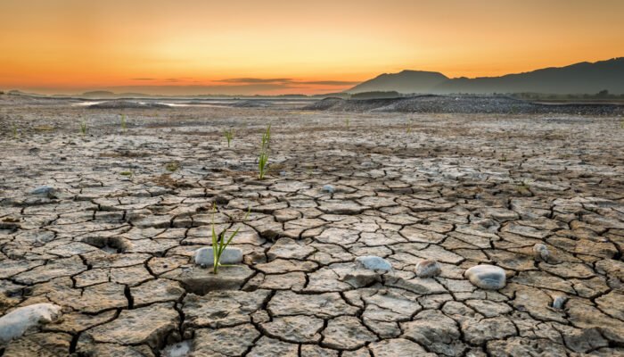 Roland Seichter Fotografie - Einzigartige Wandbilder - Landschaftsfotografie -Fotografie des ausgetrockneten Forggensees am Morgen