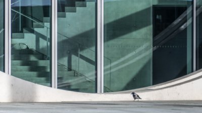 Roland Seichter Fotografie - Städtefotografie - Ein Teil der Waschmaschinenansicht des Elisabeth-Lüders-Hauses mit einem Raben