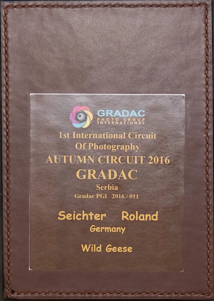 Roland Seichter Fotografie - Tierfotografie - Wettbewerbserfolg Bild 14