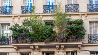 Roland Seichter Fotografie - Städtefotografie - Paris - Ein Pariser Balkon, über und über mit Pflanzen vorllgestellt
