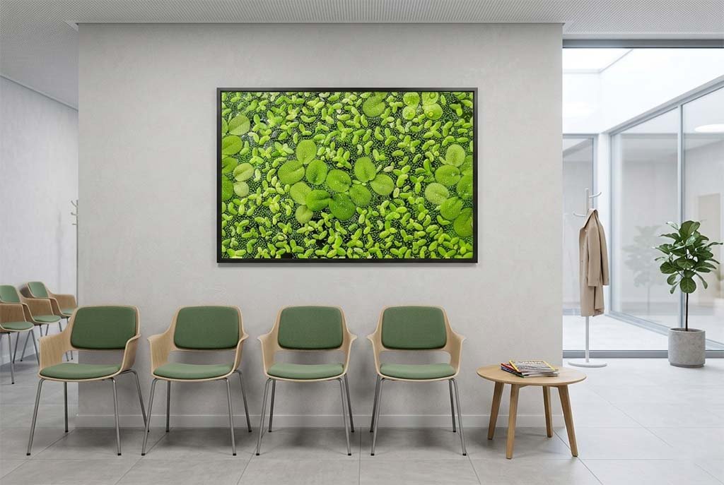 Das Wandbild Green als beruhigendes Naturmotiv im 3:2 Format an der Wand eines hell gestalteten Wartezimmers.