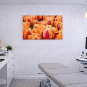 Orange Tulpen im Behandlungszimmer Alu-Dibond mit floralem Motiv als großformatiges Praxisbild im Behandlungsbereich einer orthopädischen Arztpraxis