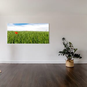 Pflanzenfotografie - Single Poppie Beispiel in 200 x 100 cm