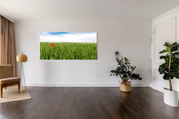 Pflanzenfotografie - Single Poppie Beispiel in 200 x 100 cm