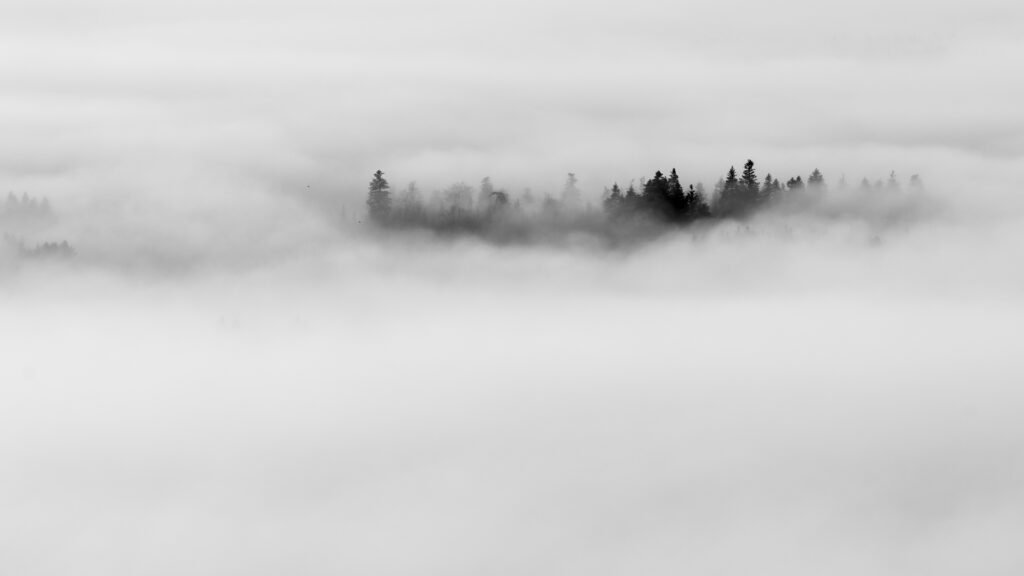 Roland Seichter Fotografie - Minimalistische Fotografie - Eine kleines Waldstück ragt aus dem Nebel heraus - Schwarz/Weiß