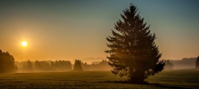 Roland Seichter Fotografie - Landschaftsfotografie - Morgens im Allgäu, Blick über nebelverhangene Wiesen, ein Baum im Vordergrund, die Aufgehende Sonne im Blick