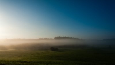 Roland Seichter Fotografie - Landschaftsfotografie - Morgens im Allgäu, Nebelschwaden, Waldstück und viel blauer Himmel