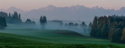 Roland Seichter Fotografie - Landschaftsfotografie - Morgens im Allgäu, Blick über nebelverhangene Wiesen, Bäume und Alpenkette im Hintergrund