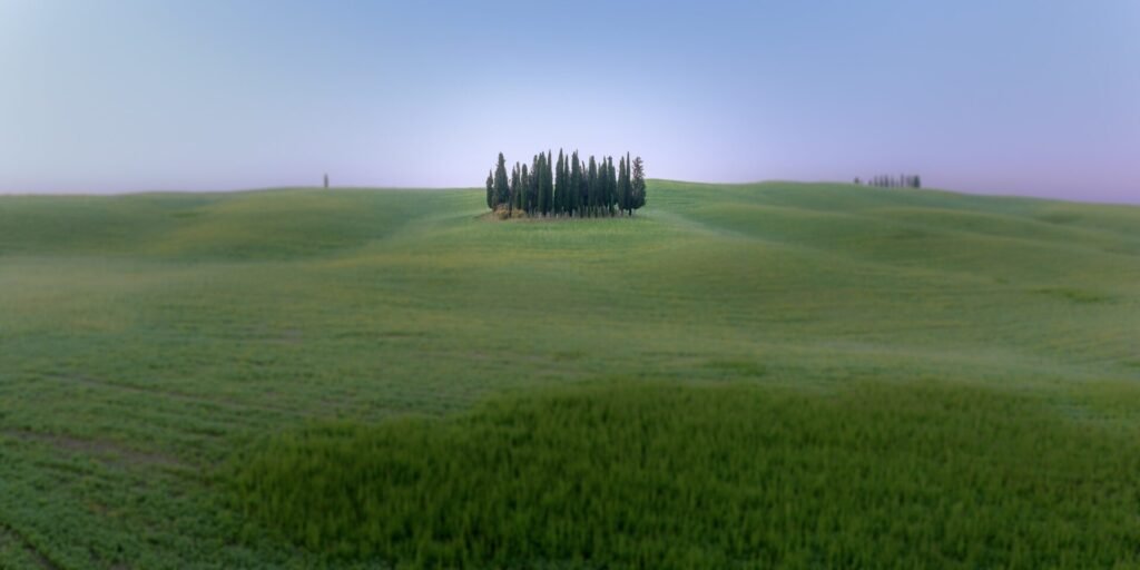 Roland Seichter Fotografie - Toscana nella nebbia - Zypressenwäldchen, Variante 1