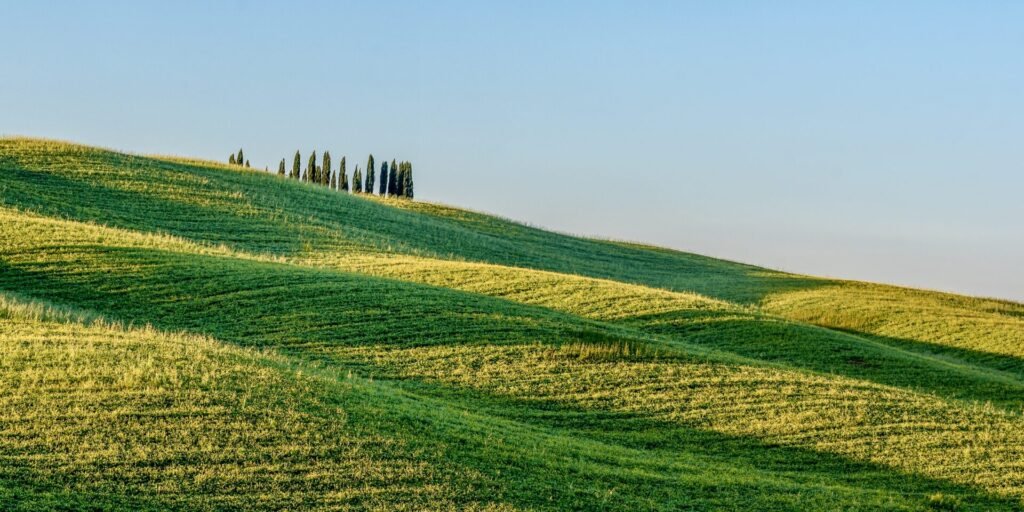 Roland Seichter Fotografie - Toscana nella nebbia - Zypressenwäldchen, Variante 2