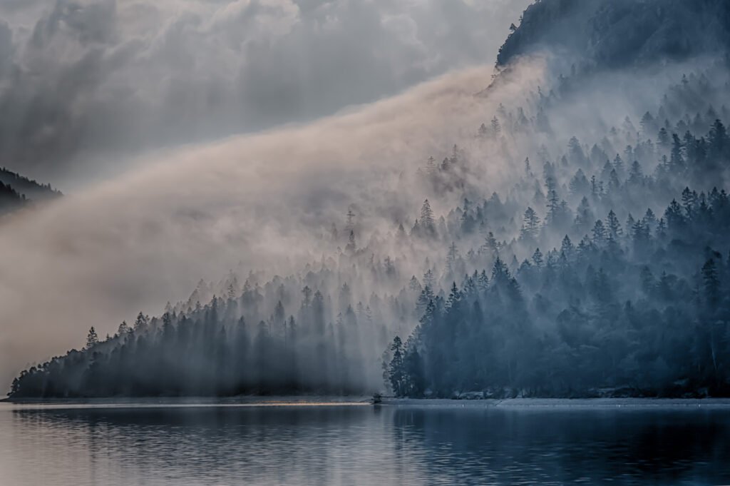 Roland Seichter Fotografie - Landschaftsfotografie - Ein Bargwald am Rande eines Bergsees mit Nebelschwaden