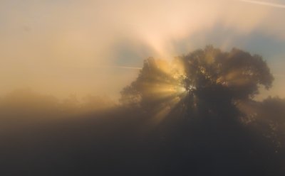 Roland Seichter Fotografie - Landschaftsfotografie - Ein nebeliger Morgen, die Sonne geht gerade hintern dem einen Baum im Bild auf. Man sieht die Sonnenstrahlen