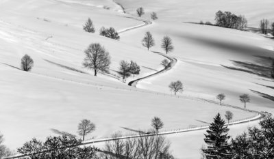 Roland Seichter Fotografie - Einzigartige Wandbilder - Fotografie einer Schneelandschaft mit einigen Bäumen. Eine Straße windet sich in doppelter S-Form durchs Bild. Schwarz/Weiß
