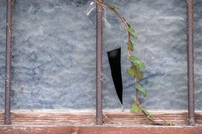 Roland Seichter Fotografie - Abstrakte Fotografie - Ein altes Fenster mit Eisenstäben gesichert. Im Glas ein Dherausgrochenes Dreieck, ein Ast mit grünen Blättern