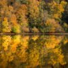 Roland Seichter Fotografie - Einzigartige Wandbilder - Landschaftsfotografie - Herbstlicher Wald, der sich auf einem See spiegelt