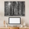 Roland Seichter Fotografie - Herbstwald SW - Im Arbeitszimmer