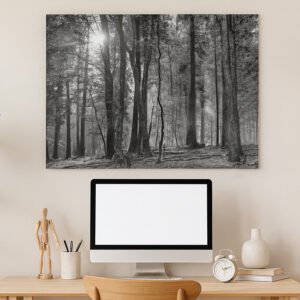 Roland Seichter Fotografie – Herbstwald SW – Im Arbeitszimmer Roland Seichter Fotografie - Herbstwald SW - Im Arbeitszimmer