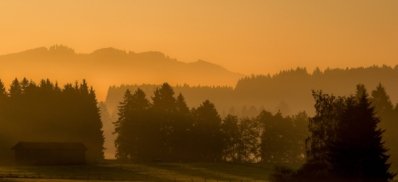 Roland Seichter Fotografie - Landschaftsfotografie - Verschiedene Waldstücke im Morgenlicht fotografiert. Helligkeitsabstufungen von dunkel vorne nach hell hinten