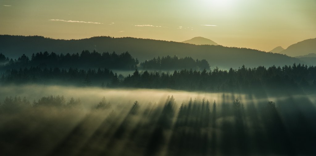 Roland Seichter Fotografie - Gegenlichtaufnahem in ein hügeliges Land, leichter Nebel umgibt die Nadelbaüme, die aufgehende Sonne scheint ins Bild - Basis für meine AFIAP Auszeichnung