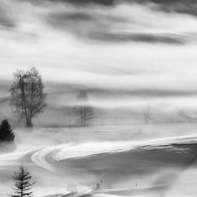 Roland Seichter Fotografie - Einzigartige Wandbilder - Landschaftsfotografie -Fotografie einer Schneelandschaft mit einigen Bäumen und Nebel. Schwarz/Weiß