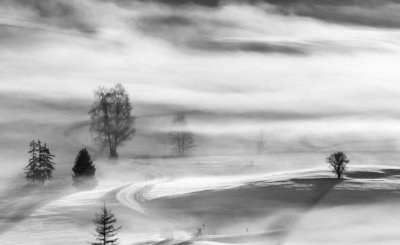 Roland Seichter Fotografie - Einzigartige Wandbilder - Landschaftsfotografie -Fotografie einer Schneelandschaft mit einigen Bäumen und Nebel. Schwarz/Weiß