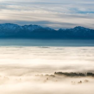 Roland Seichter Fotografie - Einzigartige Wandbilder - Landschaftsfotografie - Im Hintergrund die Allgäuer Alpen, im Vordergrund ein Nebelgefülltes Tal. Ein paar wenige Tannenspitzen schauen aus dem Nebel.