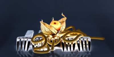 Roland Seichter Fotografie - Einzigartige Wandbilder - CreativeArt - Abstrakte Komposition einer Physalis auf Nudel und Gabeln