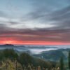 Roland Seichter Fotografie - Einzigartige Wandbilder - Landschaftsfotografie - Nebelige Stimmungsaufnahme auf die Weinberge der Steiermark. Die Sonner erzeugt einen roten Himmel