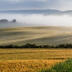 Roland Seichter Fotografie - Einzigartige Wandbilder - Landschaftsfotografie - Goldene Felder der Toskana im Morgenlicht
