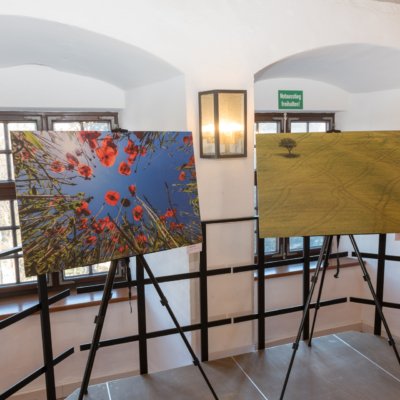 Roland Seichter Fotografie - Ausstellungen - Toscana nella nebbia im Allgäu. Variante 15