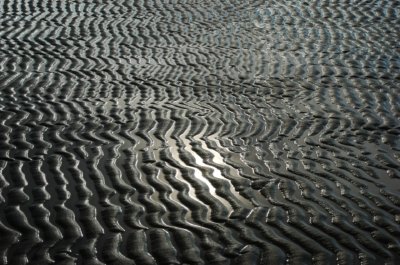 Roland Seichter Fotografie - Landschaftsfotografie - Wellenstruktur des Watts bei Ebbe