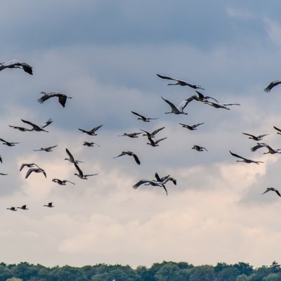Roland Seichter Fotografie - Tierfotografie - Wettbewerbserfolg Bild 5