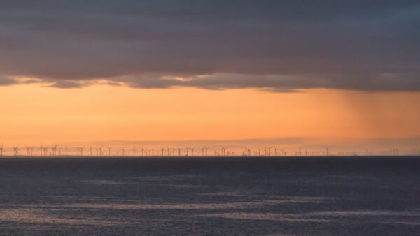 Roland Seichter Fotografie - Einzigartige Wandbilder - Fotografie mit Wasser - Fotografie eines sehr großen Windparks am wasser gelegen