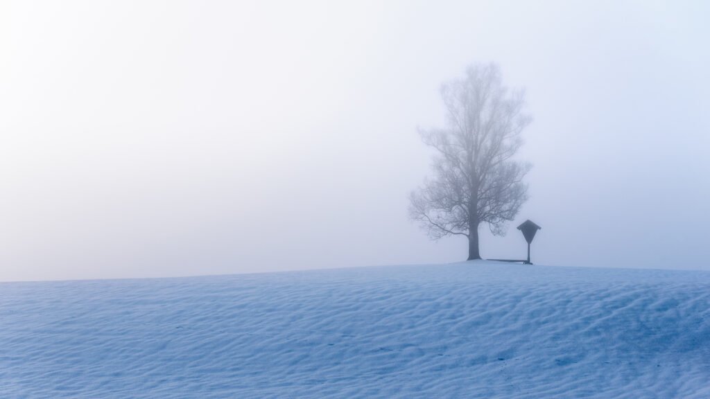 Roland Seichter Fotografie - Minimalistische Fotografie - Baum im Winter, Nebelstimmung