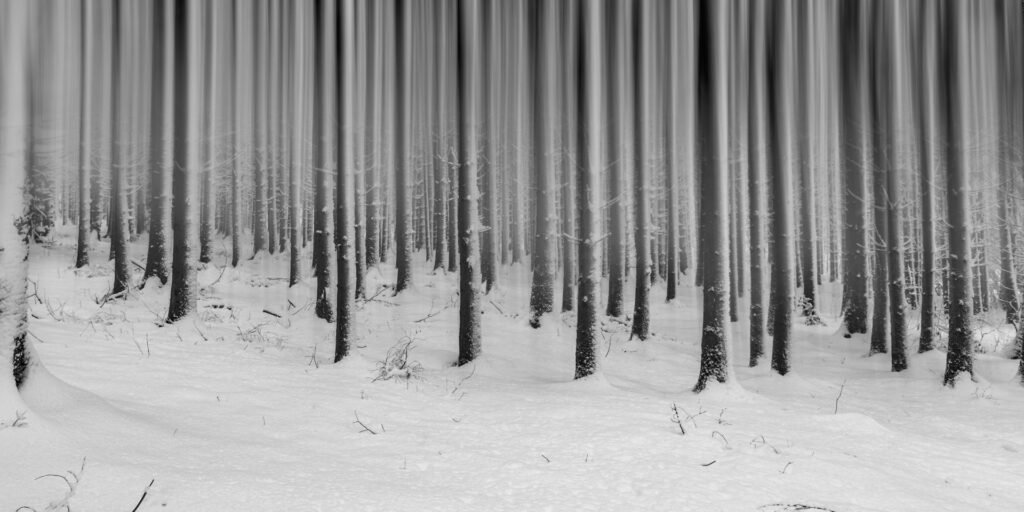 Roland Seichter Fotografie - Abstrakte Fotografie -Composing einer winterlichen Szenrie. Mit Wischertechnik verfremdete Baumstämme