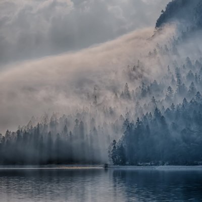 Roland Seichter Fotografie - Landschaftsfotografie - Ein Bargwald am Rande eines Bergsees mit Nebelschwaden