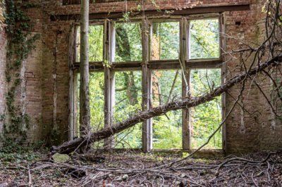 Roland Seichter Fotografie - Lost Place Fotografie - Fotografie aus den Beelitz Heilstätten, verlassene Lungenheilanstalt - Variante 2