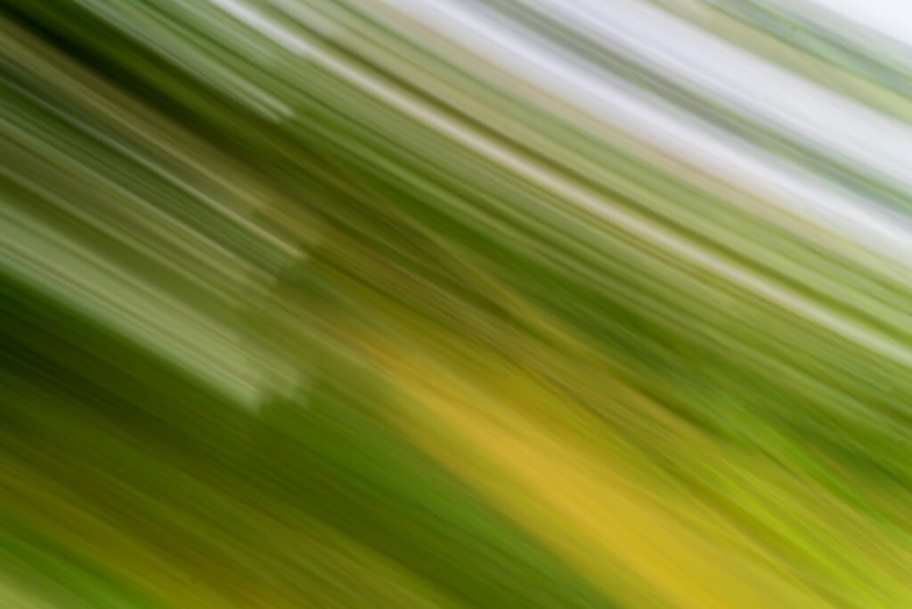 Abstrakte Naturfotografie mit diagonalen Wischspuren in verschiedenen Grüntönen und einem sonnigen Gelb, erzeugt durch Kamerabewegung