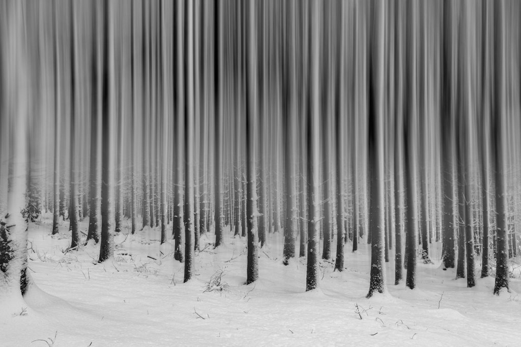 Finales Fotokunst-Composing eines Winterwalds in Schwarz-Weiß mit scharfen Wurzelbereichen und abstrakt gewischten Baumstämmen