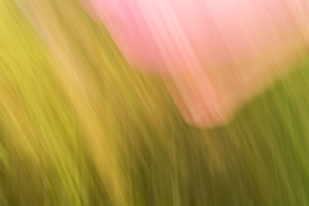 Abstrakte Fotokunst mit diagonalen Wischstrukturen in zarten Rosa- und Grüntönen