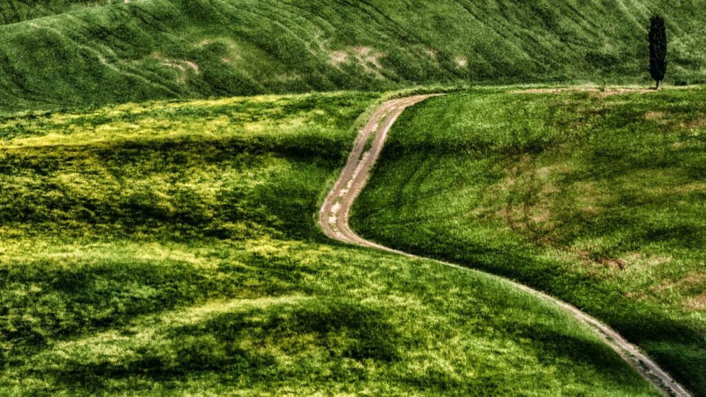 Abstrakte Fotokunst einer hügeligen grünen Landschaft mit einem geschwungenen Weg und einer einsamen Zypresse