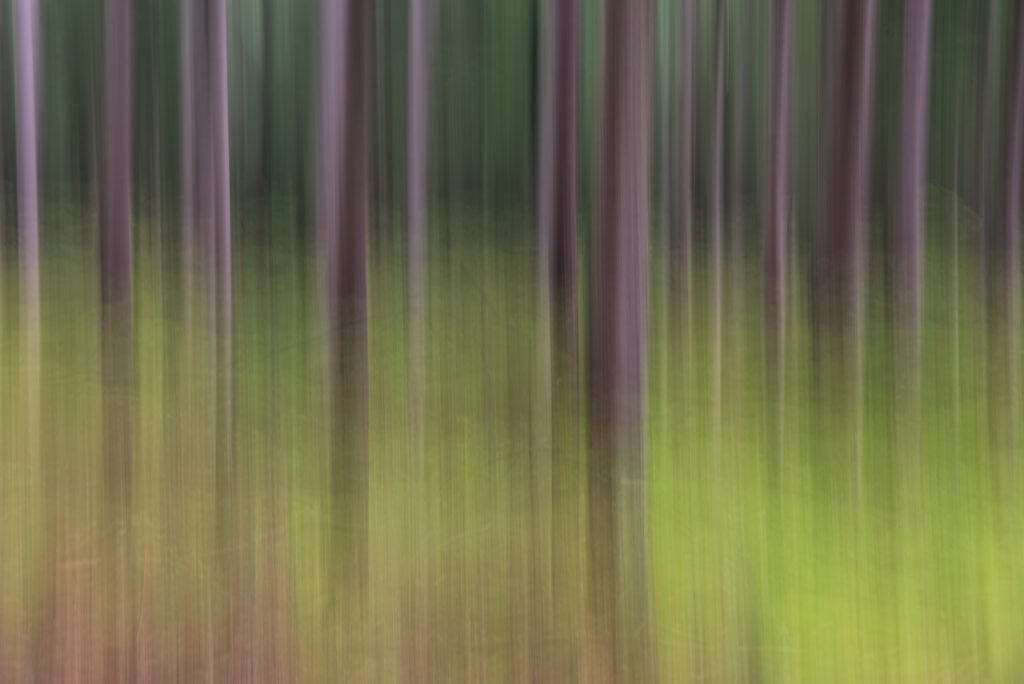 Abstrakte Fotokunst eines Waldes mit vertikalen Wischstrukturen in Grün und dunklem Violett