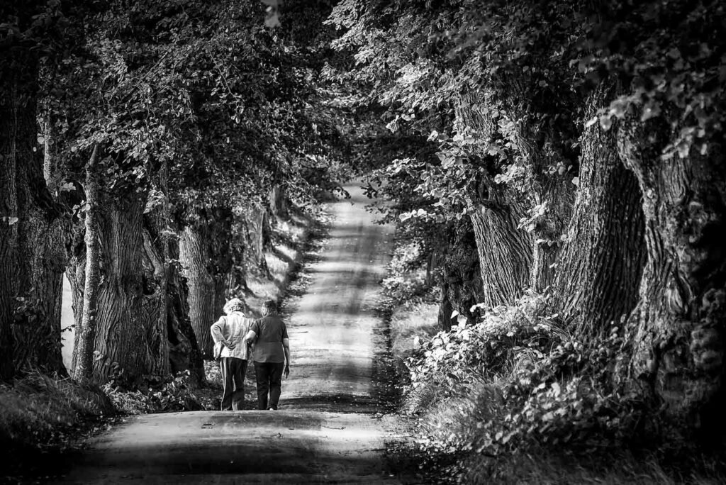 Schwarzweiß-Foto von zwei Personen, die einen von alten Bäumen gesäumten Weg entlanggehen.