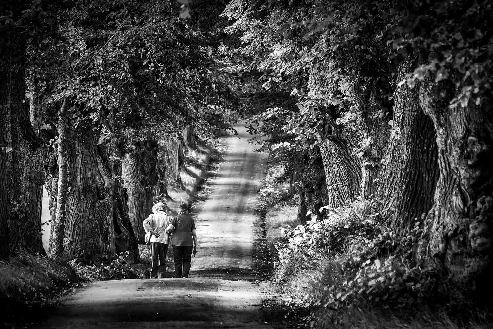 Schwarzweiß-Foto von zwei Personen, die einen von alten Bäumen gesäumten Weg entlanggehen.