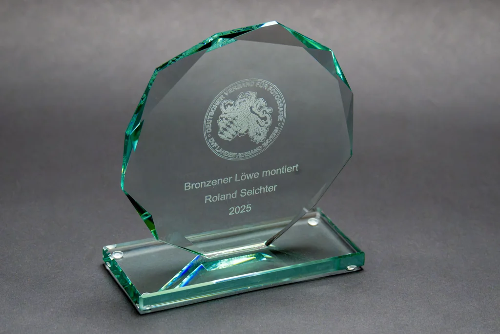 Bronzener Löwe – DVF Bayern-Auszeichnung für Roland Seichter